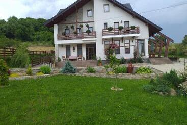 Pensiunea Doina Bucovinei