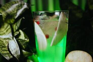 בית מלון כפרי ліжниця