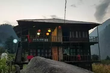 Ostello Yolo Backpackers   Pulga