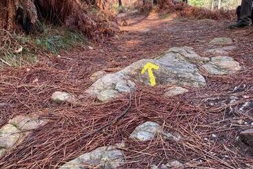 Bed and Breakfast Quinta Labruja