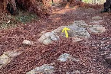 ベッドアンドブレックファースト Quinta Labruja