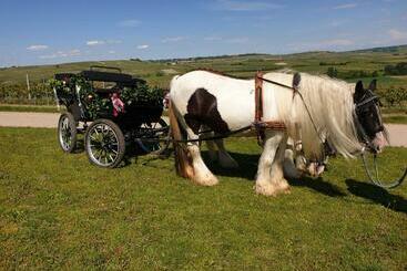 בית מלון כפרי Ferienwohnung Tinkerhof Nähe Bingen