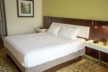 Отель Hilton Garden Inn Temple Medical Center