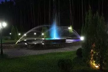 Отель Sosnovyi Bor