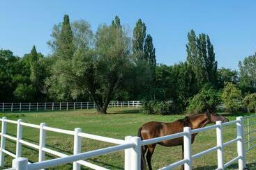 ホテル Equiliber Reitkunstzentrum Burgenland