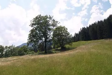 Pension Talblick In Wängle Bei Reutte