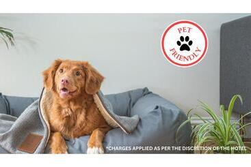 فندق على الطريق Oyo  Lamberton Hwy 14