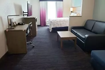 Hotel Best Western Plus San Antonio East Inn & Suites