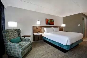 Отель Hilton Garden Inn Detroit Metro Airport