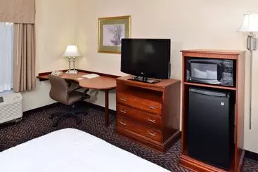 Hotel Hampton Inn & Suites Daytonvandalia