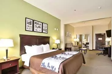 酒店 Sleep Inn & Suites University