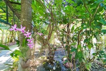 酒店 Olana Bed And Breakfast