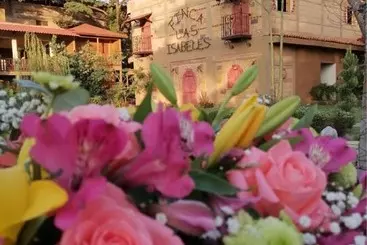 Hotel Finca Las Isabeles