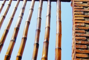 בית מלון כפרי La Casa Del Jardín Hostel