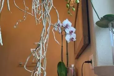 Aamiaismajoitus (B&B) Beb Montefratta