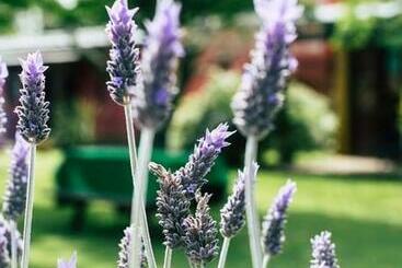 Pensionat Hosteria Casa De Campo