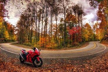 ホテル Dragon City