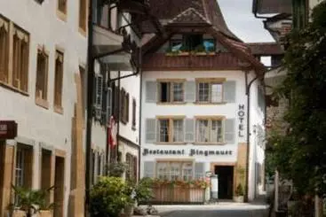 Hotel Ringmauer