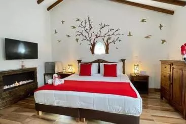 ホテル Boutique & Spa Vdl Colonial