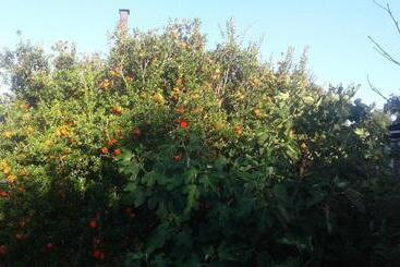 צימר Poplar Guest House