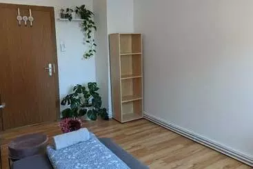 ペンション Single Room Near The Black Forest