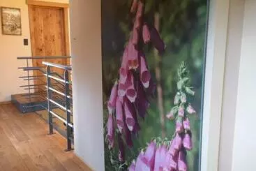 Bed and Breakfast Le Clos Du Cerf   Silence & Nature