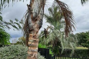 Tui Glade Bed And Breakfast