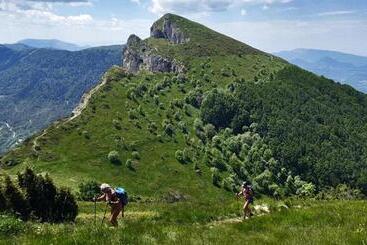 مبيت وإفطار Les Terrasses De Saillans
