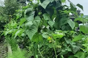 ペンション Landlust!