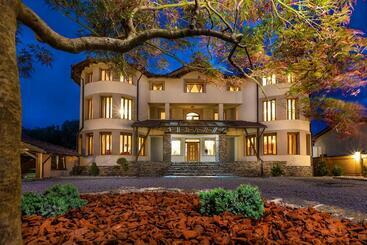 ペンション Transilvania Mansion