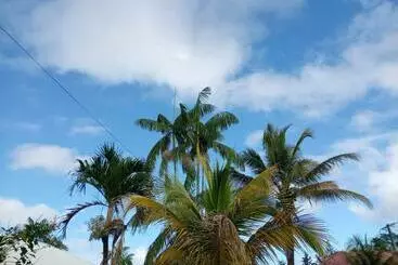 ベッドアンドブレックファースト La Douce Demeure