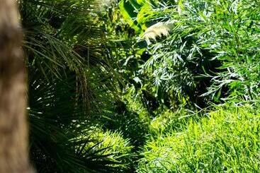 پانسیون A Natural Retreat