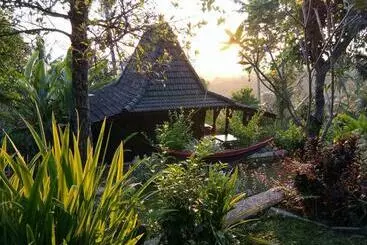 Bed and Breakfast D’kailash Retreat