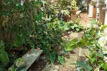 Aamiaismajoitus (B&B) Ambiance Sud Sauvage