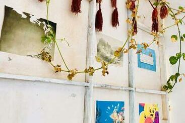 הוסטל Nautilus Capsules