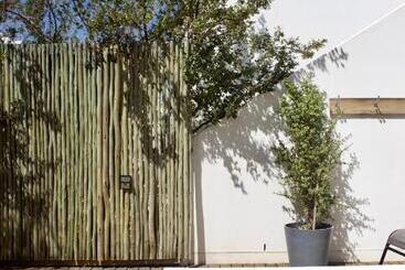 بنسيون The Bean Tree