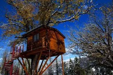 Bed and Breakfast Casa Sull Albero Bocchineri