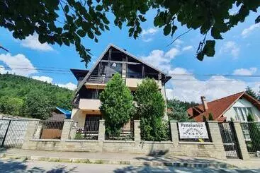 Pensiunea Public House