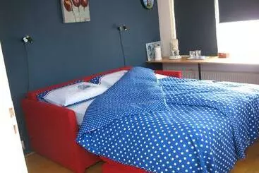 Aamiaismajoitus (B&B) De Krasse Man