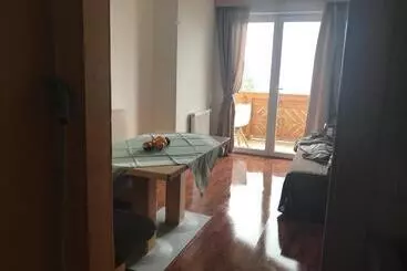 ベッドアンドブレックファースト Apartment Sonnblick