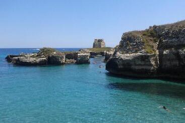 Bed and Breakfast Casa D Artista   Le Stanze Della Stupidità