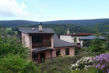 Pensjonat Ubytovaní Vila Pramínek