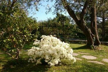 Nocleg ze śniadaniem La Vie Est Belle