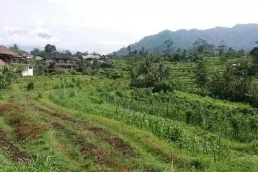 ペンション Maha Neka Villa