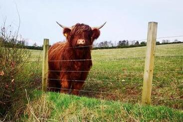 住宿加早餐  Hillhaven Bed &breakfast