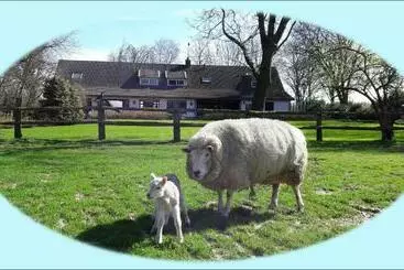 Aamiaismajoitus (B&B) Het Geheim Van Merselo