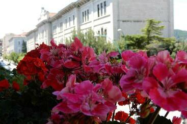 Bed and Breakfast Luciano And Son