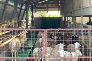 Hotel Ataalaya Farmhouse