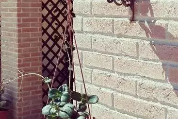 Bed and Breakfast Nenna Country