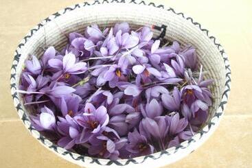 酒店 Agriturismo Locoe